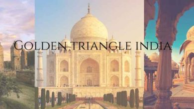golden triangle tour to india