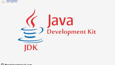 Java software development company