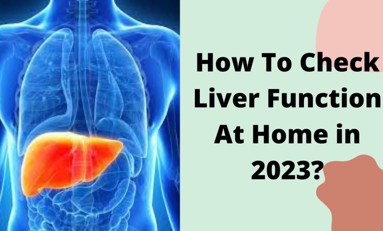 How To Check Liver Function At Home in 2023